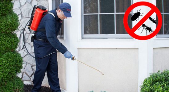 Akçakent Böcek İlaçlama böcek ilaçlama ve haşere kontrolü — ilaclama-tr.com